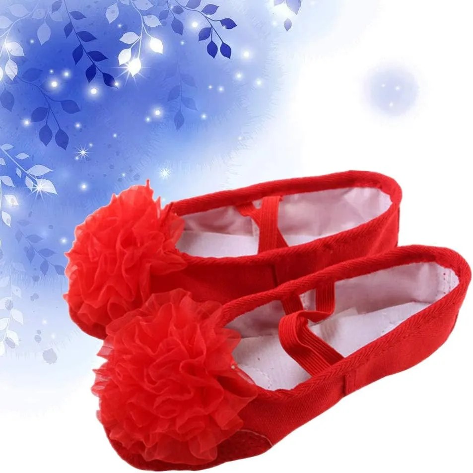 EXCEART 1 Pair Ballet Shoes Modern Dance Shoes Jazz Dance Shoes Slippers for Kids House Slippers Kids Shoes Leather Flats for Women Dancing Shoes Pocket Shoes Toddler Set
