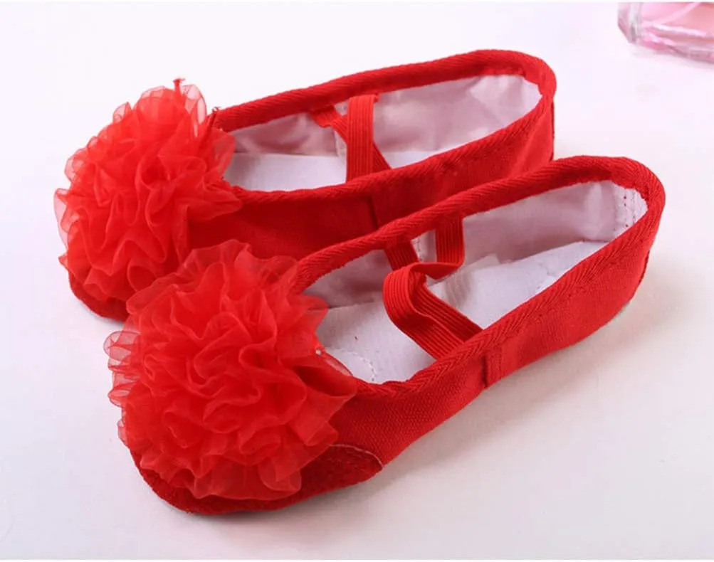 EXCEART 1 Pair Ballet Shoes Modern Dance Shoes Jazz Dance Shoes Slippers for Kids House Slippers Kids Shoes Leather Flats for Women Dancing Shoes Pocket Shoes Toddler Set