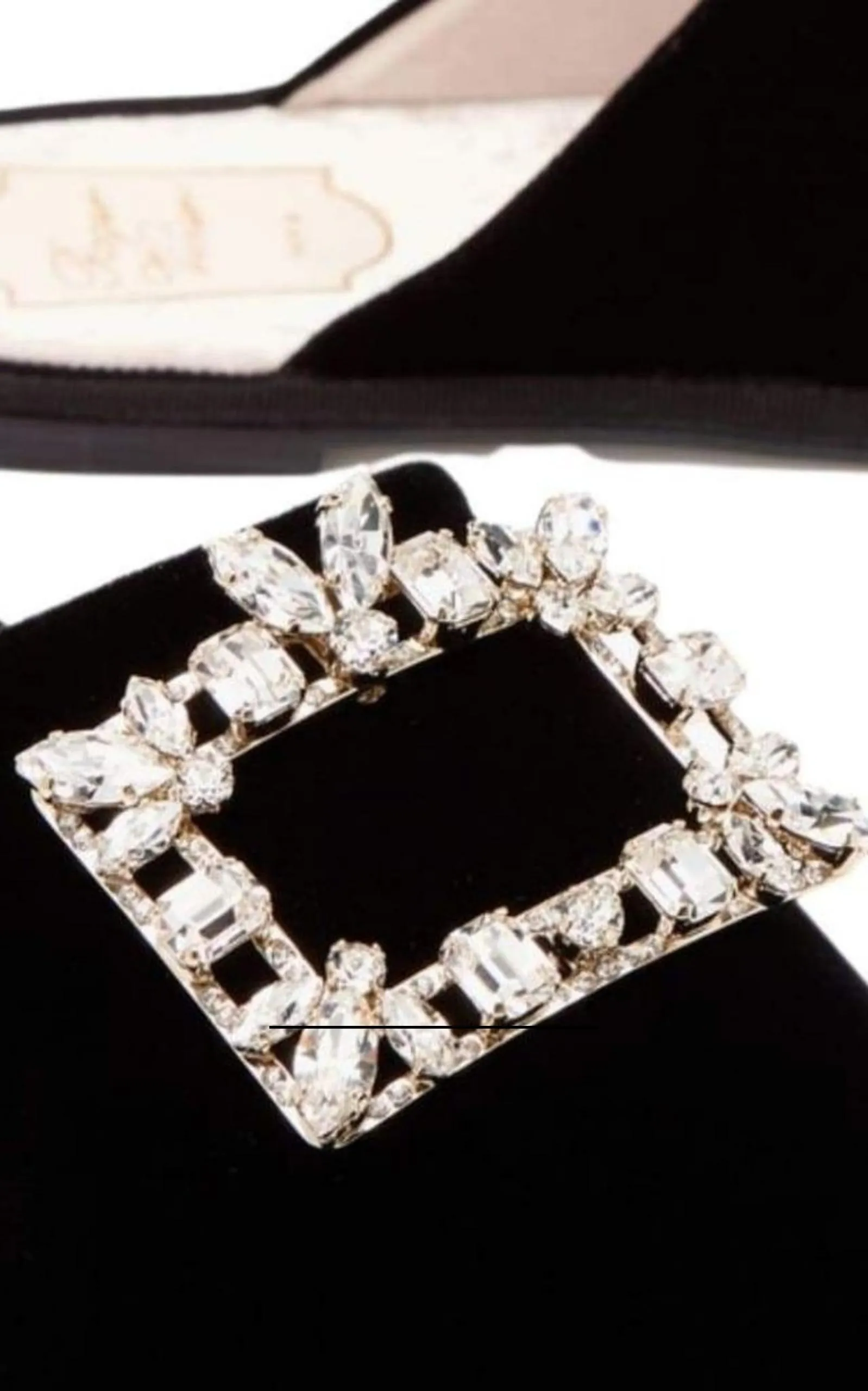 Hotel Vivier Crystal-buckle Velvet Slippers