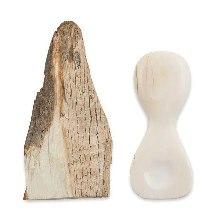 Small Shoehorn in fossilized material